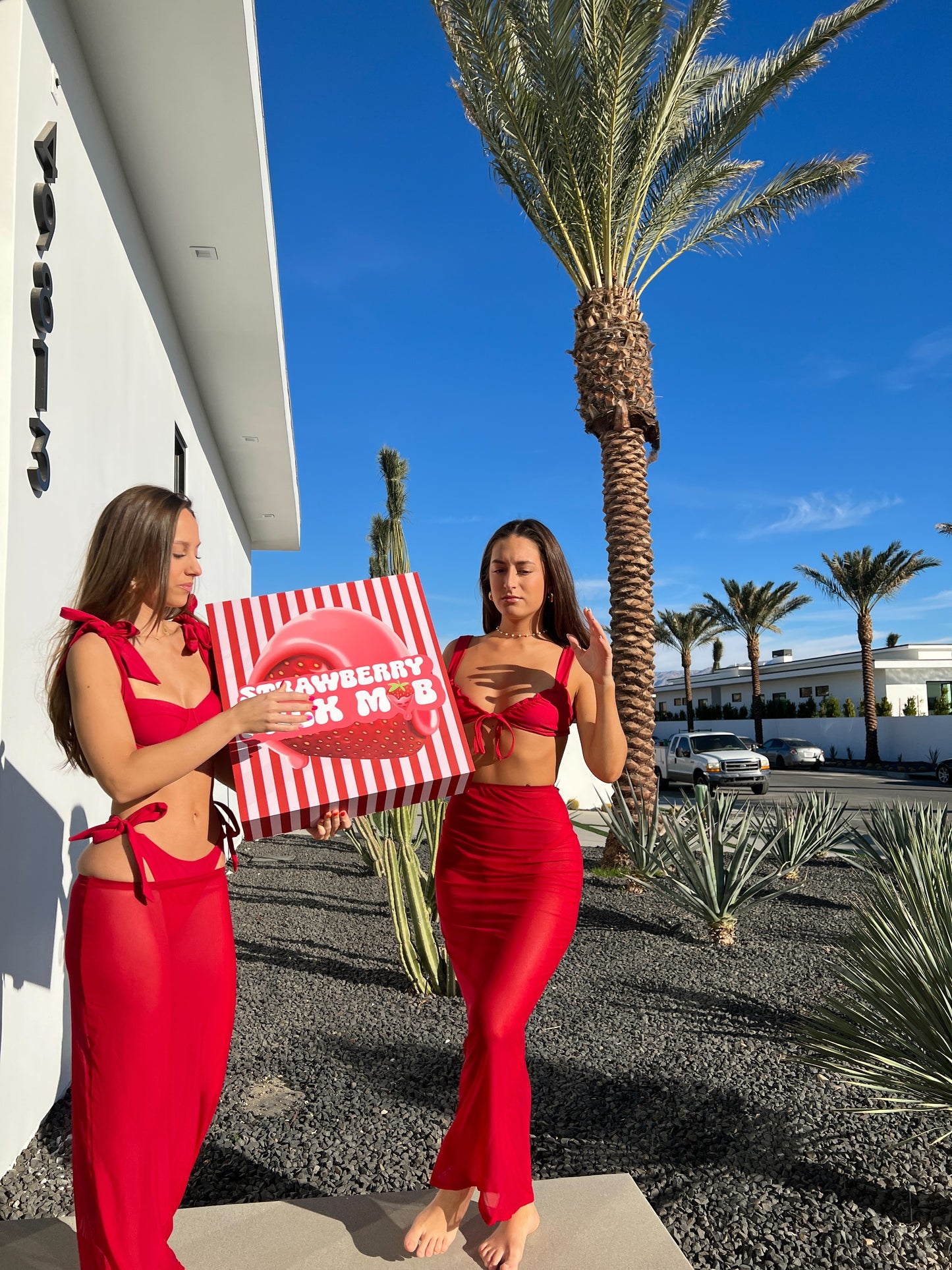 Scarlet Skirt Coverup