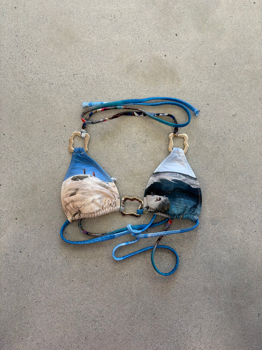 Sample Bikini #10